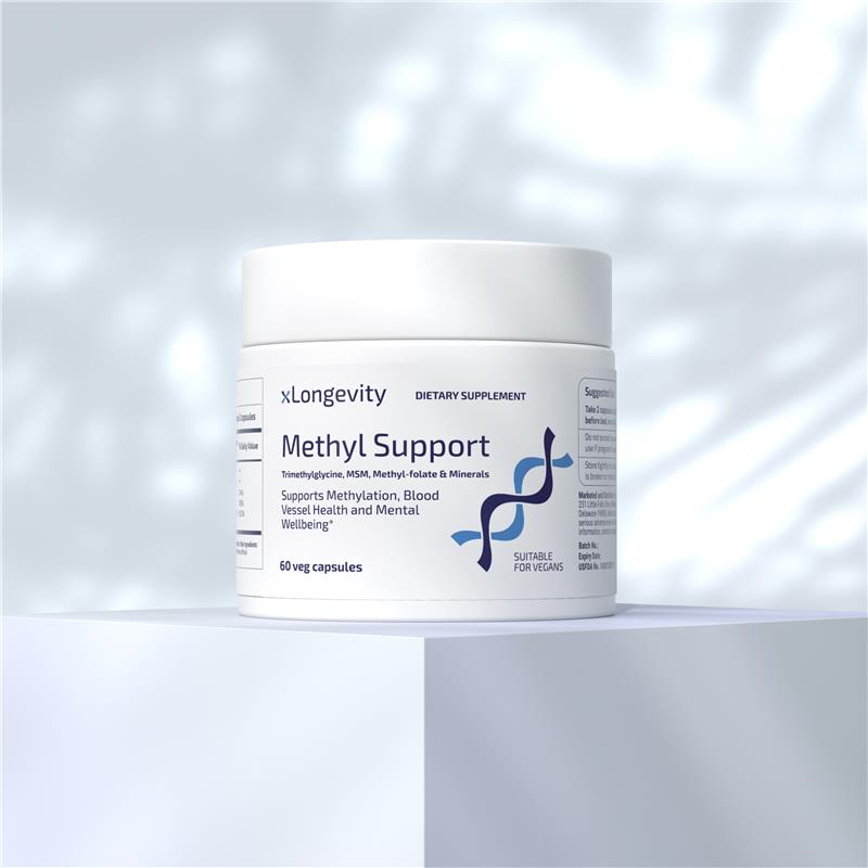 Methyl Support